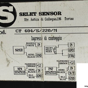 selet-ct-604_s_220_m-pulse-counter-2