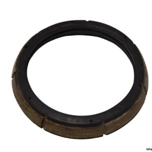 demag-06474384-conical-brake-ring(used)
