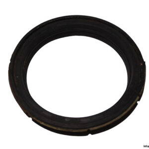demag-06474384-conical-brake-ring(used)-1