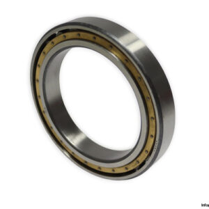 riv-6558-radial-cylindrical-roller-bearing-new-1