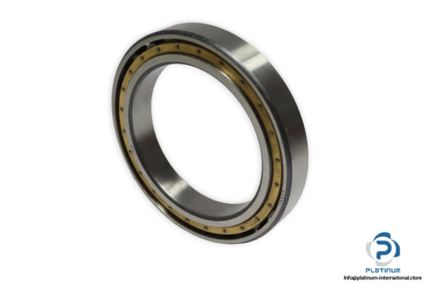 riv-6558-radial-cylindrical-roller-bearing-new-1