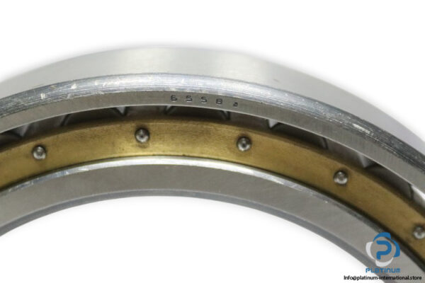 riv-6558-radial-cylindrical-roller-bearing-new-2
