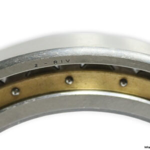 riv-6558-radial-cylindrical-roller-bearing-new-3