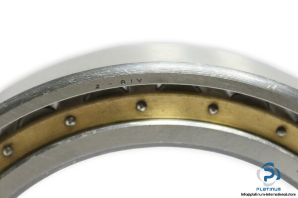riv-6558-radial-cylindrical-roller-bearing-new-3