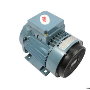 asea-MT80B19-4-8-3-phase-electric-motor(new)-1