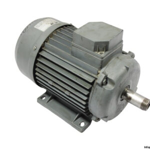 wolf-MTDW100LA-3-phase-electric-motor(used)