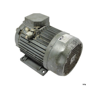wolf-MTDW100LA-3-phase-electric-motor(used)-1
