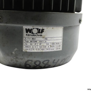 wolf-MTDW100LA-3-phase-electric-motor(used)-2