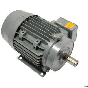 wolf-UD100LA-3-phase-electric-motor(used)