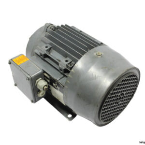 wolf-UD100LA-3-phase-electric-motor(used)-1