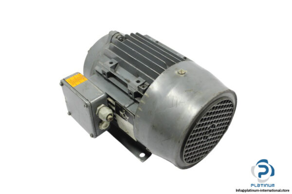 wolf-UD100LA-3-phase-electric-motor(used)-1