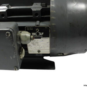 wolf-UD100LA-3-phase-electric-motor(used)-2