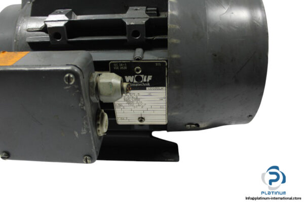 wolf-UD100LA-3-phase-electric-motor(used)-2