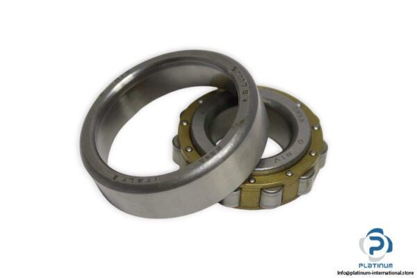 riv-611178-A-cylindrical-roller-bearing-new-carton-1