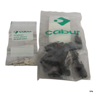 cabur-IS301394462-4mm-female-connector-positive-(new)-2