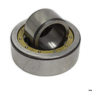 skf-611596_C4-cylindrical-roller-bearing-new-carton