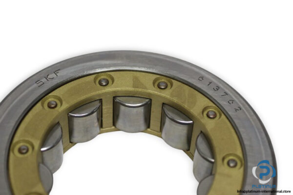 skf-613762-Cylindrical-Roller-Bearing-new-carton-1