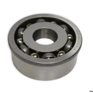 riv-613096-A-ball-bearing-new