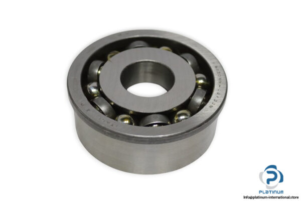 riv-613096-A-ball-bearing-new