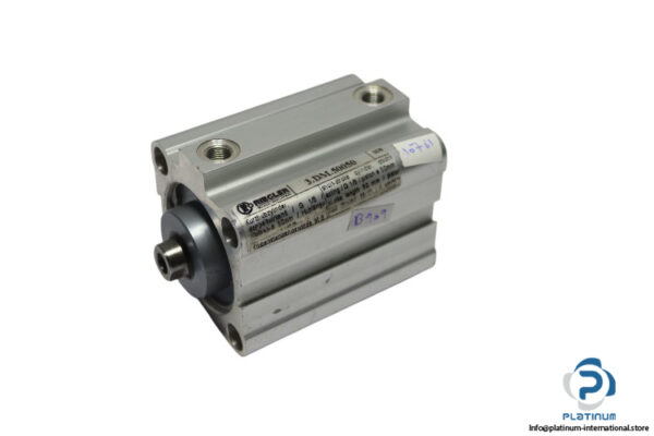riegler-3.DM.50050-short-stroke-cylinder-(Used)