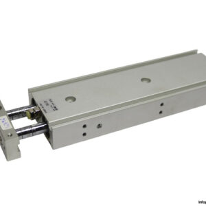 smc-CXSM20-125-XB11-dual-rod-guided-cylinder-(New)