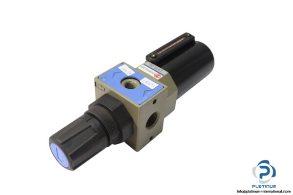 riegler-UFR-04-filter-regulator-(Used)-1