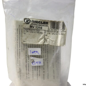 riegler-MV-1316-solenoid-valve-(New)-1