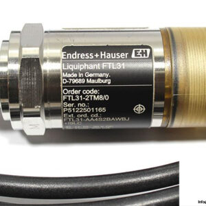 endress-hauser-ftl31-2tm8_0-point-level-switch-3