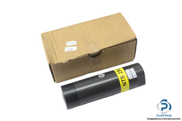 netter-vibration-NTS-250-NF-pneumatic-linear-vibrator-(New)