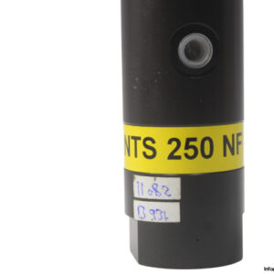 netter-vibration-NTS-250-NF-pneumatic-linear-vibrator-(New)-3