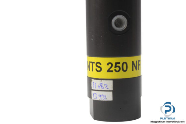 netter-vibration-NTS-250-NF-pneumatic-linear-vibrator-(New)-3