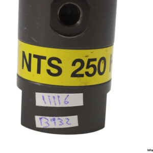 netter-vibration-NTS-250-HF-pneumatic-linear-vibrator-(New)-2