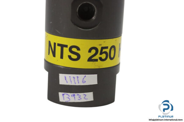 netter-vibration-NTS-250-HF-pneumatic-linear-vibrator-(New)-2