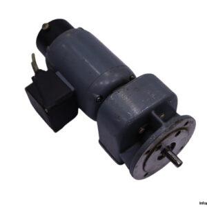 groschopp-DM100-80-SG-300-gear-motor(used)