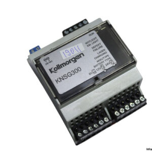 kollmorgen-KNSG-300-emergency-light-unit-(used)