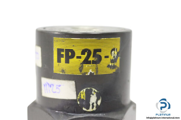 findeva-FP-25-S-piston-vibrator-(Used)-1