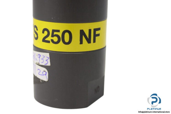 netter-vibration-NTS-250-NF-pneumatic-linear-vibrator-(without-cartoon-new)-2