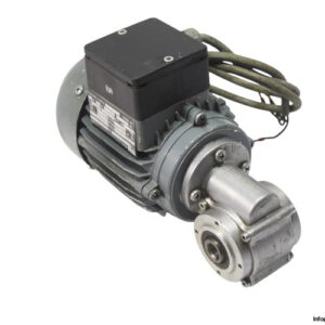 weg-0DG-534-gear-motor(used)