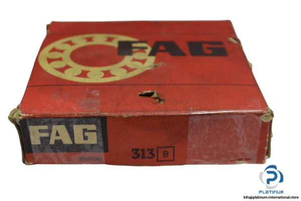 fag-313-rolling-bearing(new-carton)-1
