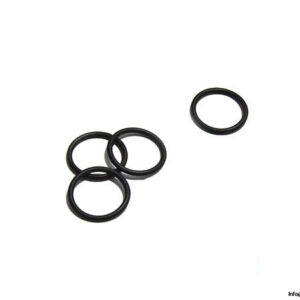 videojet-SP216363-o-ring