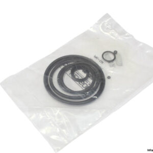 Wilkerson-GRP-95-262-o-ring-kit(new)