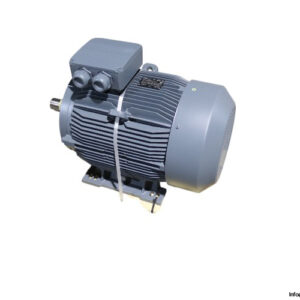 mecaline-3eg225m2c-pd-ba-c34-electric-motor(new)-1