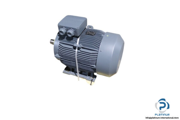 mecaline-3eg225m2c-pd-ba-c34-electric-motor(new)-1