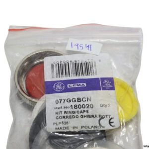 cema-077GGBCN-push-button-(new)-2