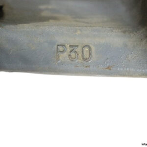 cooper-P30-plummer-block-housing-used-3
