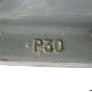 cooper-P30-plummer-block-housing-(used)-2
