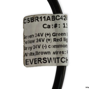everswitch-CSBR11ABC4242N.LED-G_R-24V-inductive-proximity-sensor-(new)-2