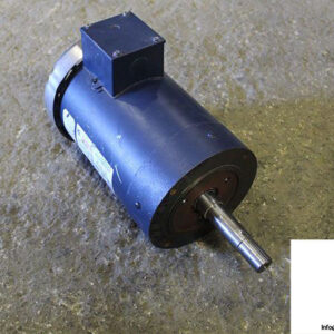 leeson-C-145T14FC9C-3-phase-e-motor