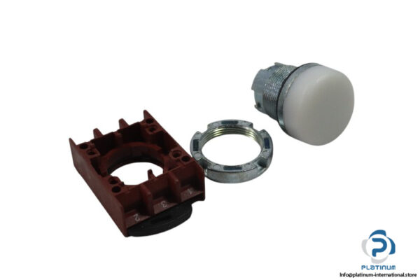 ge-cema-P9MLBD-pilot-light-(new)