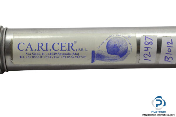 ca.ri.cer.srl-25X100-round-cylinder-(New)-1